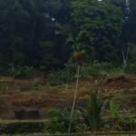 Kampung Naga