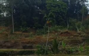 Kampung Naga